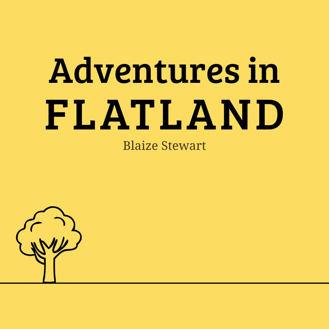 Adventures in Flatland